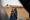 State of Southasia #08: Kate Clark on how Afghans are coping after three years of Taliban rule