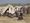 Statelessness and Rohingya rights