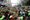 An internet star’s political dreams meet the brutal realities of Bangladeshi elections