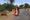 Finding food in Chandrapur
