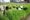 The provinces: Profile of agriculture and industry