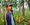 Nepal’s unescapable trap of migration, farming and climate change
