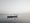 Two men on a boat floating on a still lake. Photo is in grey scale. This is a photo from Indus Echoes, a film shot in Sindh, 