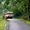 The damned road of Andamans