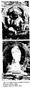 Studies in the psychopathology of culture