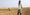 The Left Front and the rural bourgeoisie