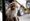 The astrologer’s monkey