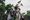 Student activists at Dhaka University mark one month since the fall of Sheikh Hasina. ‘India’s Near East: A New History’ take