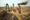 Ambitious agenda for food security