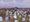 Srinagar’s martyr’s graveyard
