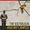 The Southasian Military Complex: web-exclusive package