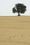 Partition on the sand