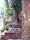 Grave neglect: The Begum of Awadh