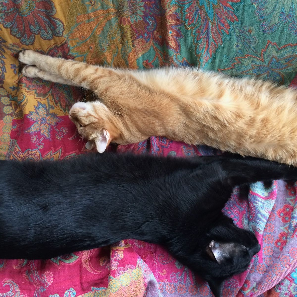 Jewish Values: V'Ahavta l'reyecha c'mocha - Love your neighbor as yourself