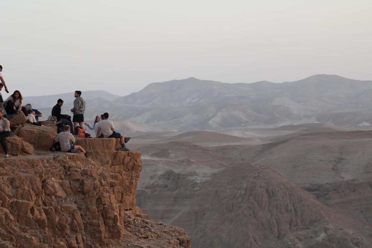 NATURE HEALS: Eco-Therapy for Recovery and Resilience