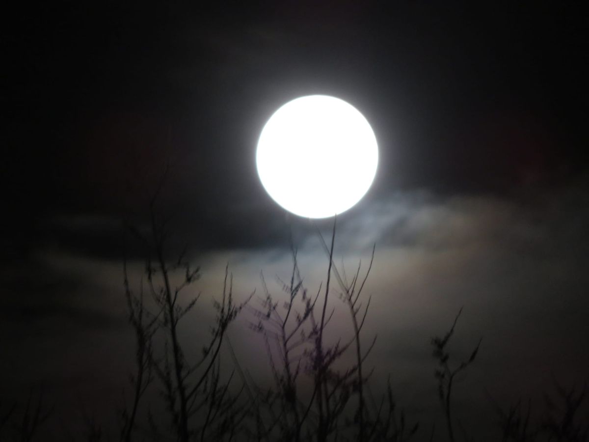 Halloween Briefs from New Mexico Jewish Journal Oct. 31, 2025