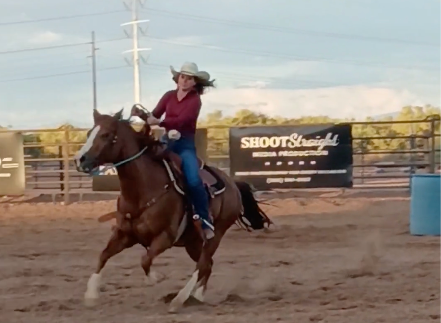Tamaya Horse Rehab Gives Neglected Horses a Second Chance
