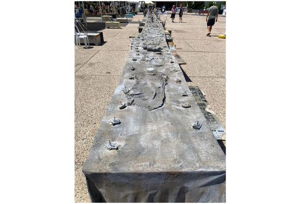 Three Summers in Israel, and When Everything Changed  by Rabbi Harry L. Rosenfeld