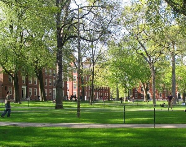 Harvard expands its definition of antisemitism – when does criticism of Israel cross a line?