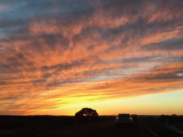 Jewish Values: B’Tzelem Elohim "in the image of God"