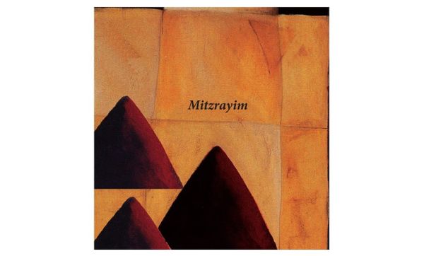 Letter from NM Rabbis Opposing Trump Detentions and Defunding Universities, to Jewish Communities of NM