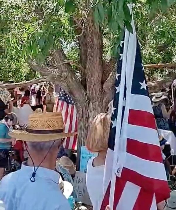 The Method to Their Madness