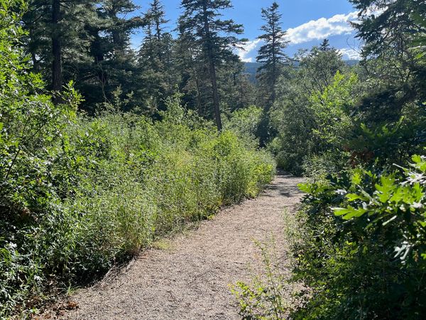 NEW: AVID READERS RECOMMEND: suggest your must-reads ~