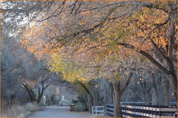 WINTER ISSUE 2025 ~ NEW MEXICO JEWISH JOURNAL ~ KISLEV 5786