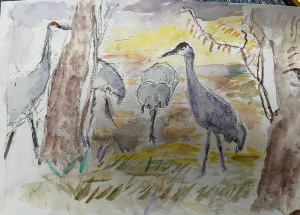 JANUARY ISSUE 2026 ~ NEW MEXICO JEWISH JOURNAL ~  Tevet, 5786 ~ view in browser