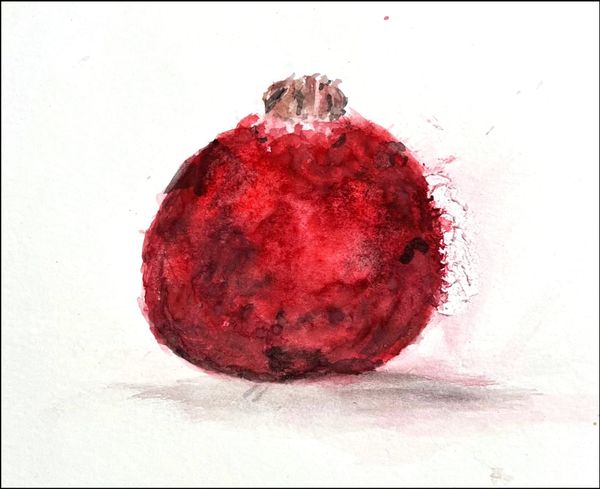 HAPPY NEW YEAR! We MET OUR MATCH! We Raised $6,000, unlocked our $12,000 donor matches, and reached $18,000! WE will still TRIPLE  Matches for another $900 in January.