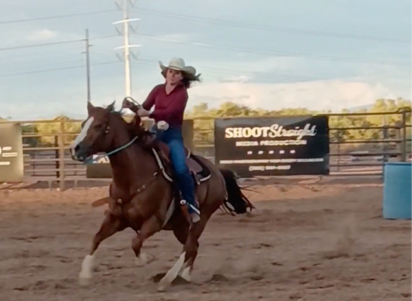 Tamaya Horse Rehab Gives Neglected Horses a Second Chance