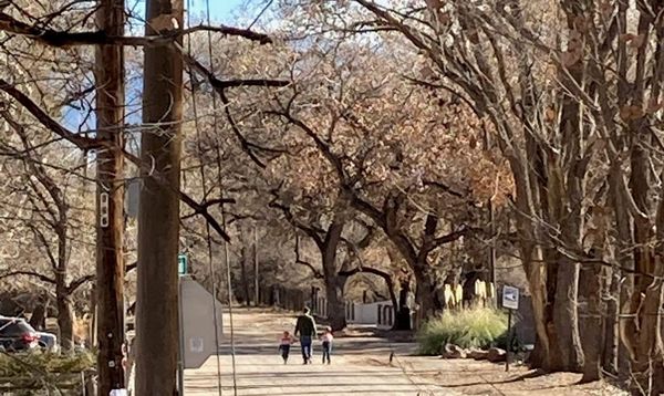 How to “Interrupt” Antisemitism: ADL Parent Training Comes to New Mexico