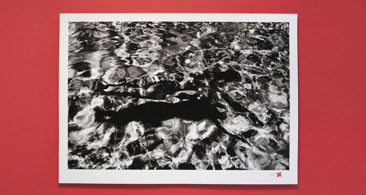 The Diver—Art edition by Rebecca Cleal.