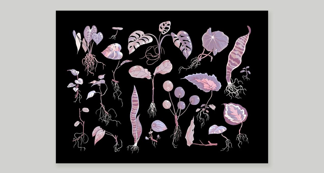 ‘Propagation’ by Choo.