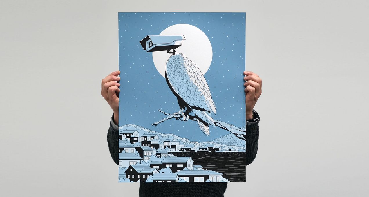 'National Bird' by Anuj Shrestha.