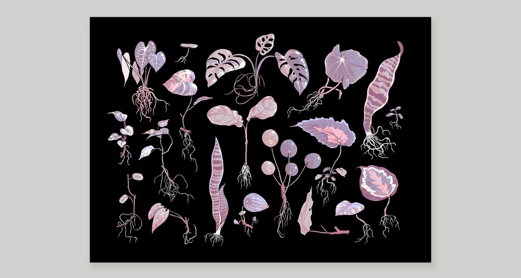 ‘Propagation’ by Choo.