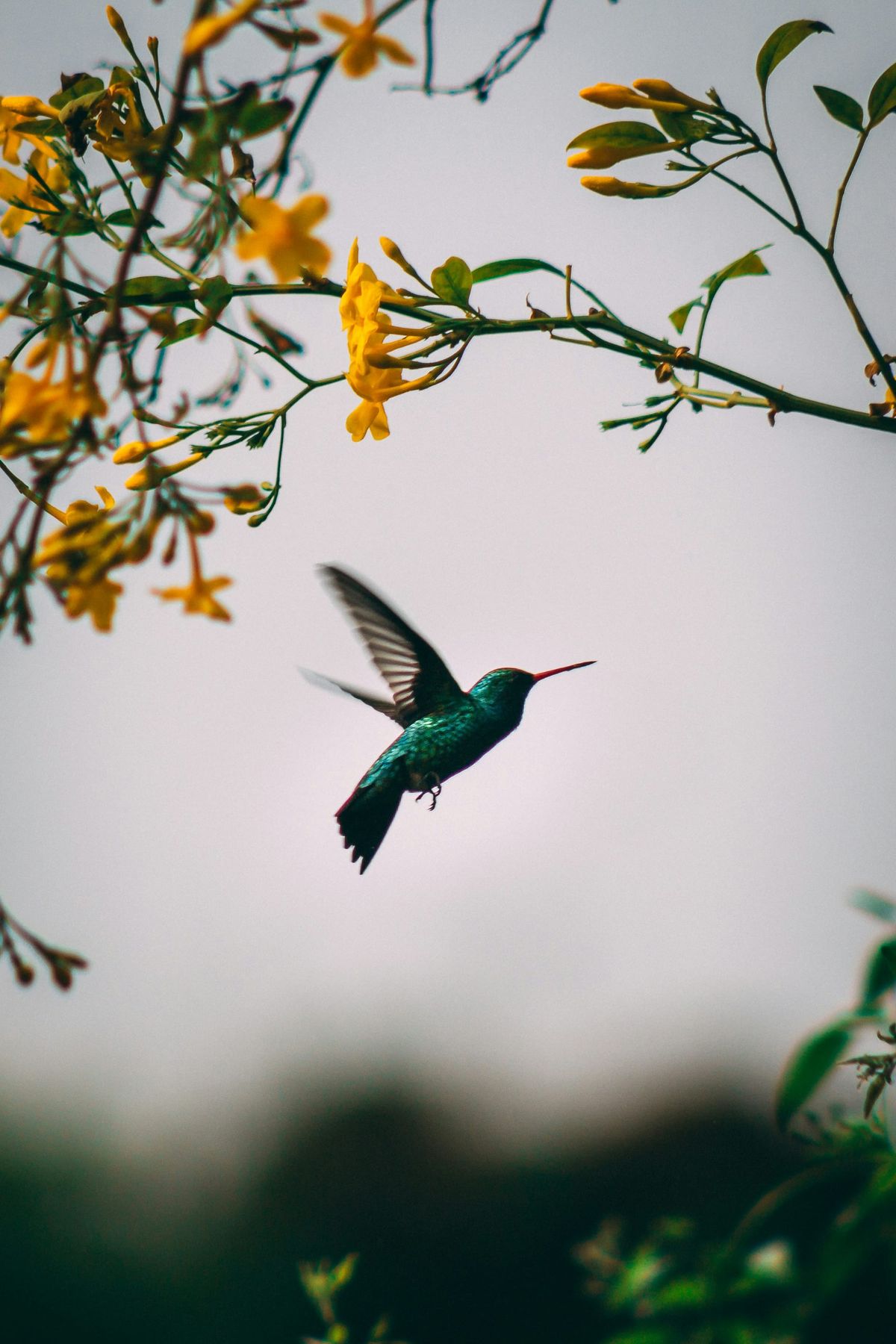 Nature strategy needs a place: Why biodiversity strategy only works when it's anchored not in metrics but in location, history, and ecological systems.