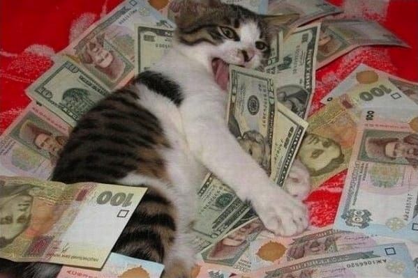 This Autist did not pay her taxes