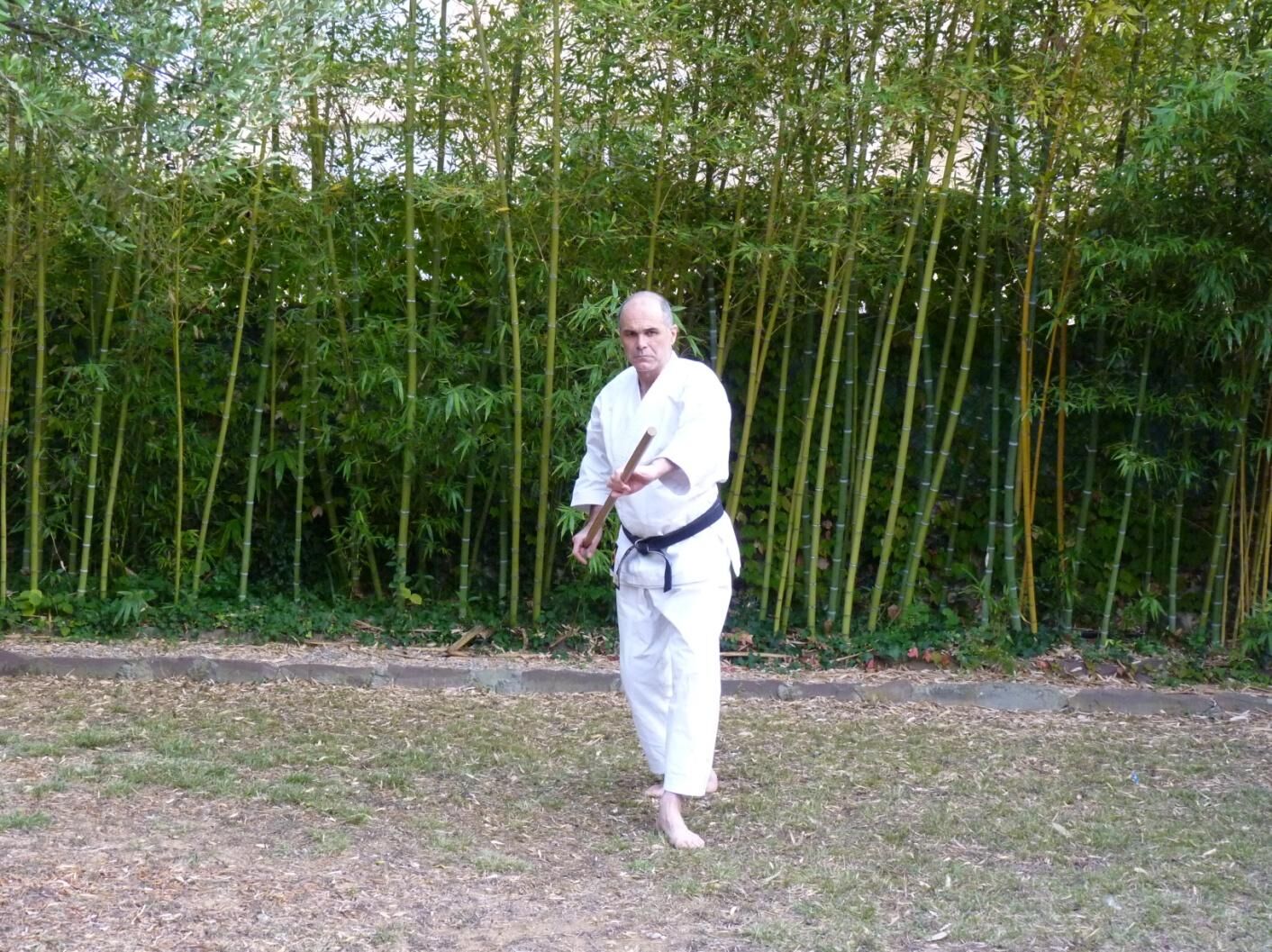 Jo suburi #2 - Gaeshi tsuki