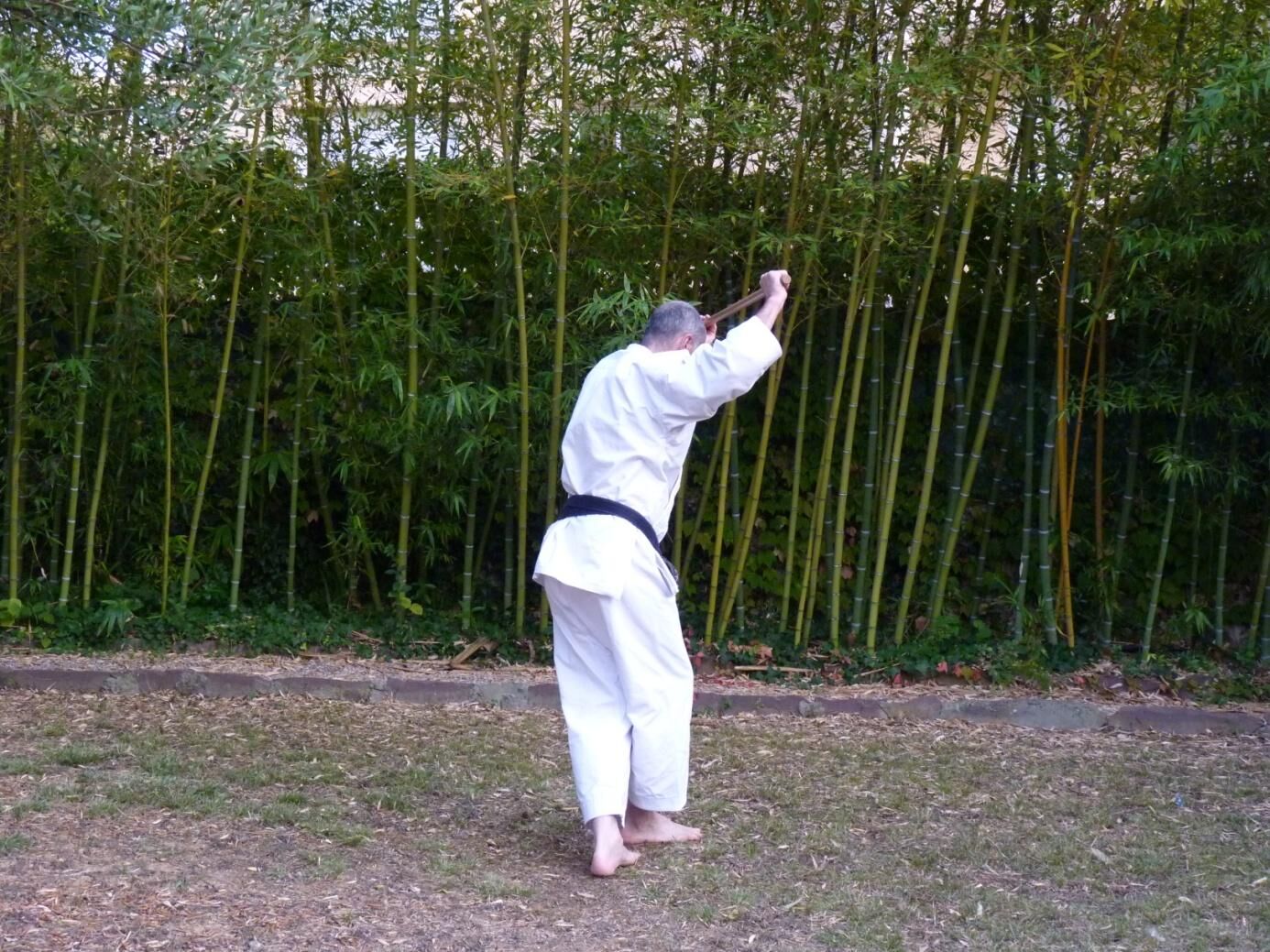 Jo suburi #20 - Gyaku yokomen migi nagare gaeshi tsuki