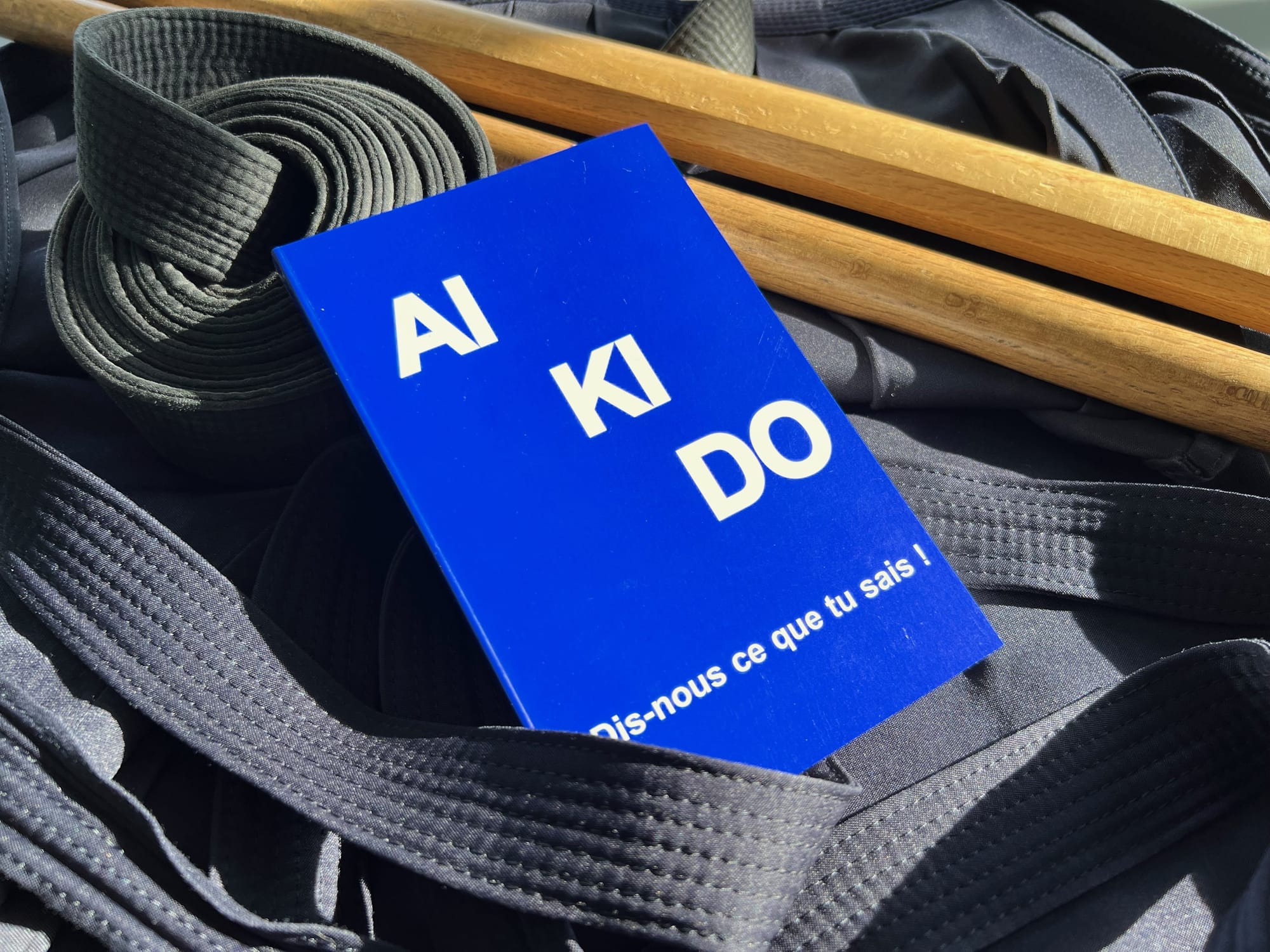 📖 Le livre de Pierre CHASSANG : AIKIDO Dis-nous ce que tu sais!