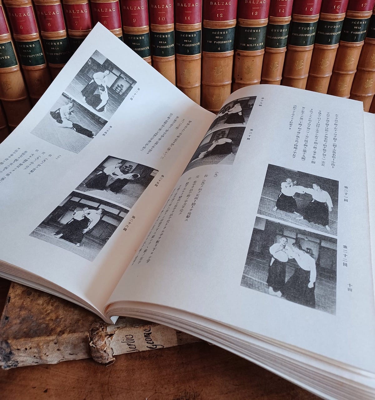 📖 Le livre caché du fondateur de l'Aikido décrypté par Philippe VOARINO