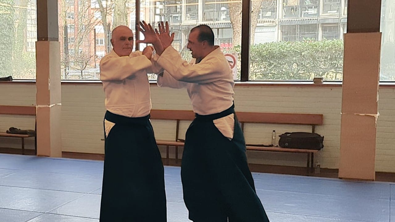 Kata dori men uchi shiho nage
