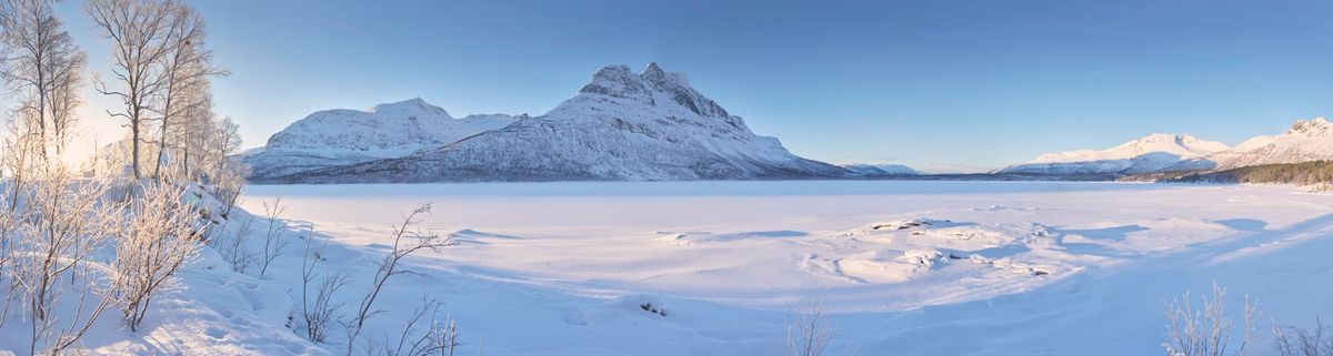 Welcome to Arctic Loop