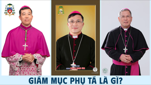 Giám mục Phụ tá là gì?