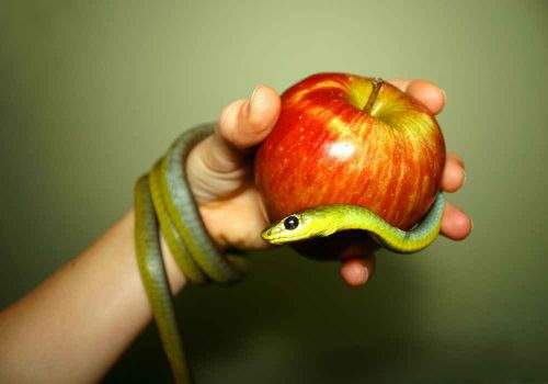 Khát vọng yêu thương: Khi con người nhầm lẫn giữa dục vọng và tình yêu