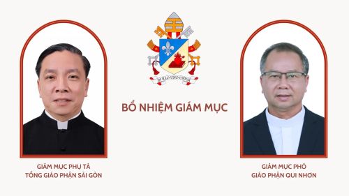 Bổ nhiệm Giám mục Phụ tá Tổng Giáo phận Sài Gòn – Thành phố Hồ Chí Minh, Giám mục Phó giáo phận Qui Nhơn