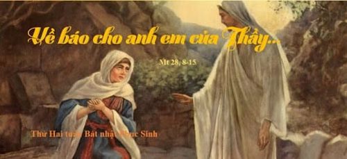 Suy niệm cùng ĐTC: Dung Mạo Thiên Chúa Qua Cái Nhìn Của Phụ Nữ