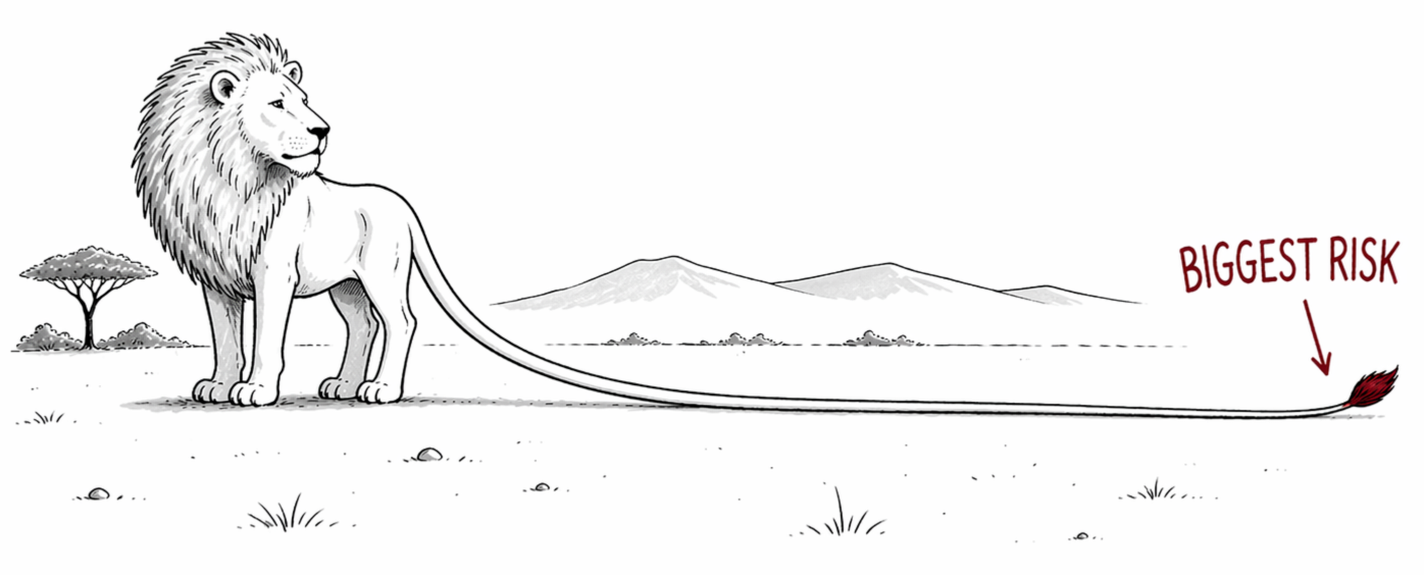 Solving LTC Tail Risk