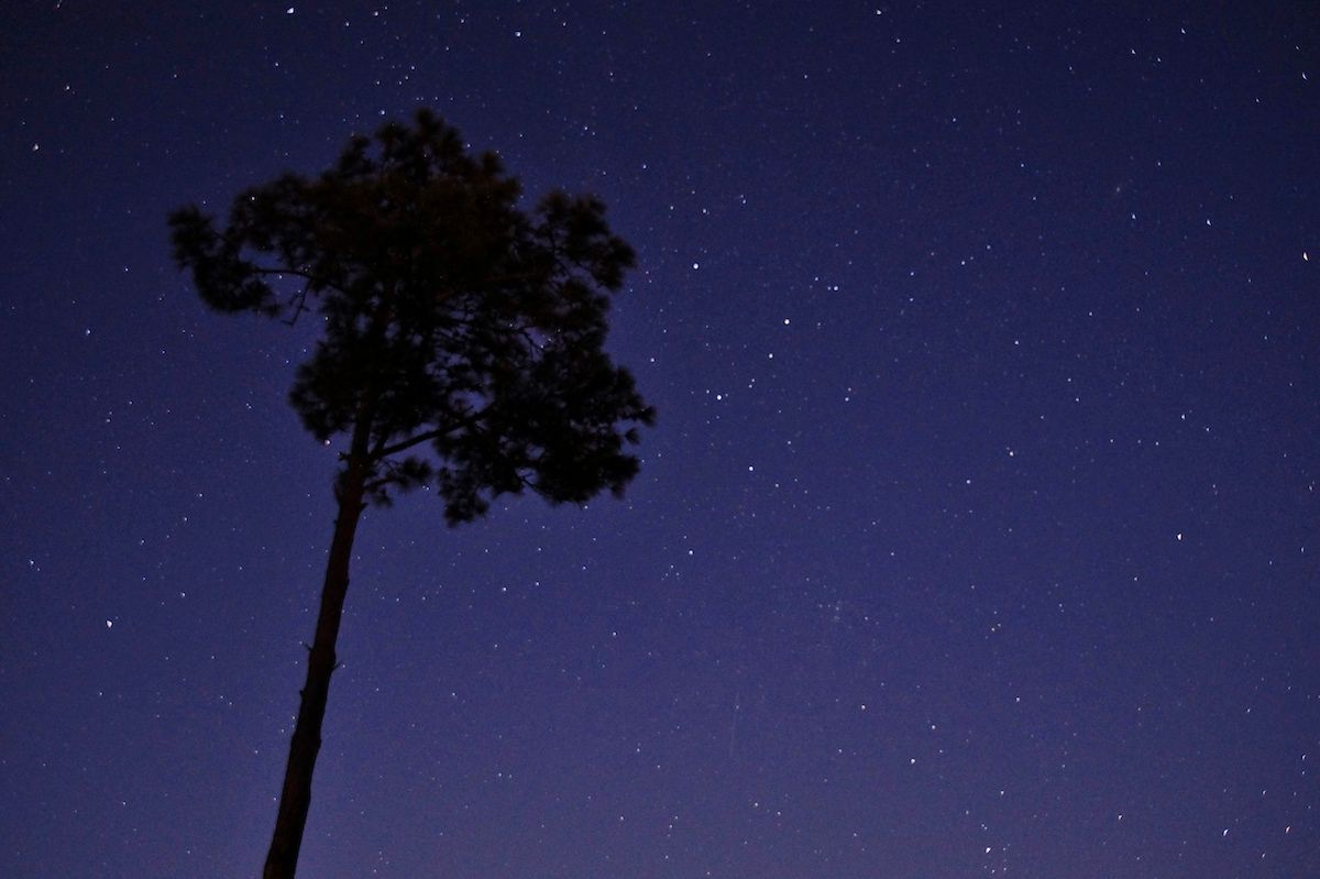 [113] 活用 WorkFlowy 共享清單：台北市各級行政區範本